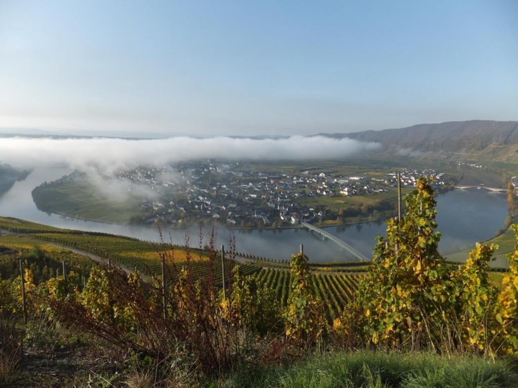 Pension Zur Muehle Veldenz Bagian luar foto