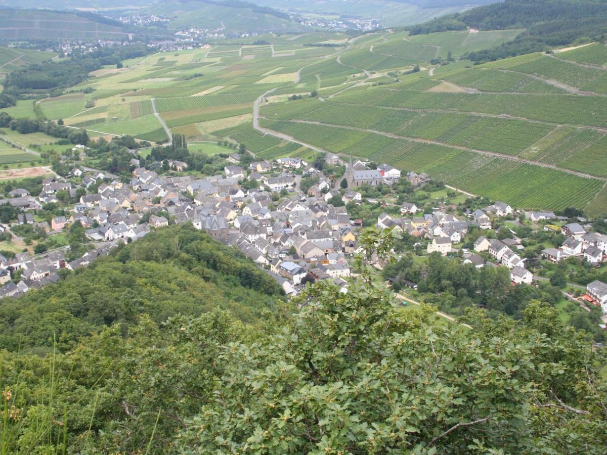 Pension Zur Muehle Veldenz Bagian luar foto